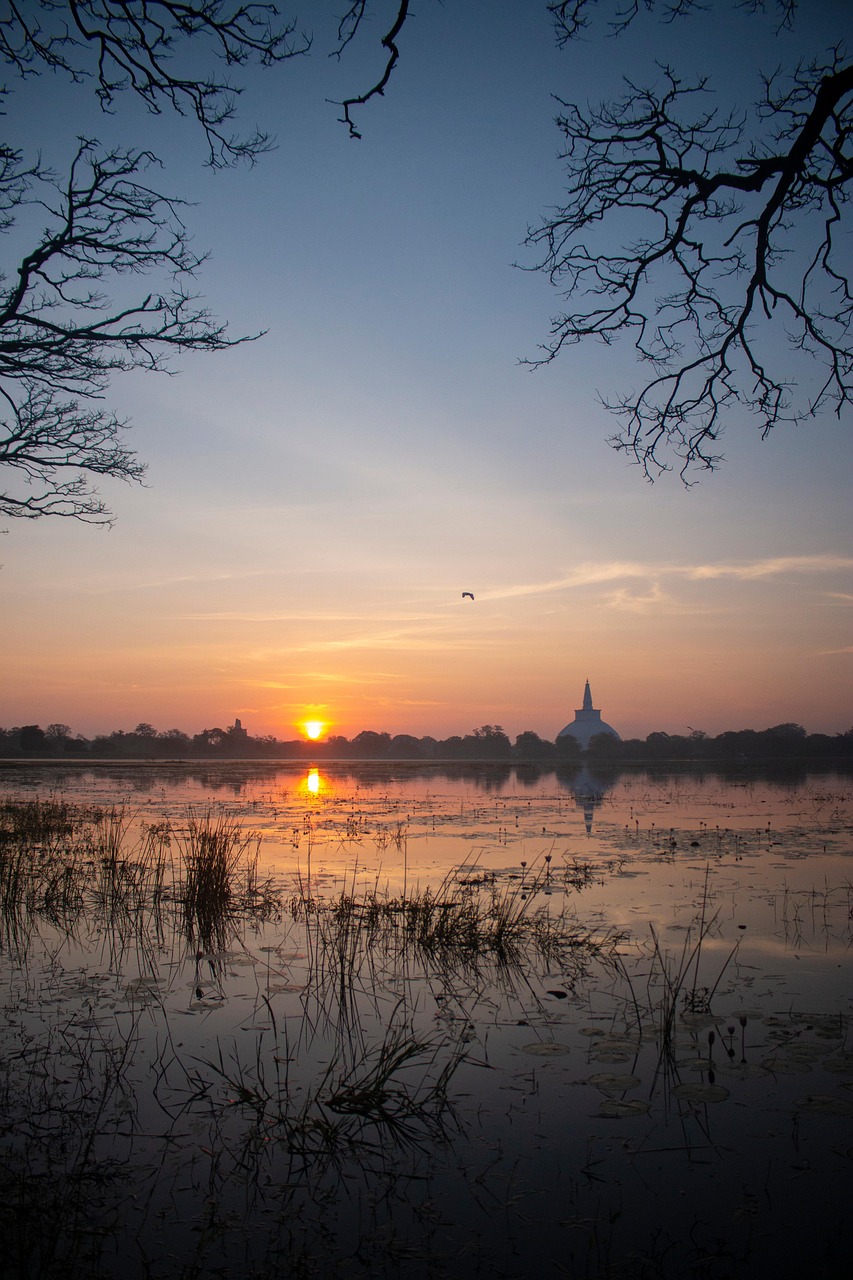 anuradhapura, sunset, lake, sri lanka, evening, ruwanweli maha seya, ruwanwelisaya, nature, landscape, anuradhapura, anuradhapura, anuradhapura, anuradhapura, anuradhapura, sri lanka, sri lanka, ruwanwelisaya, ruwanwelisaya