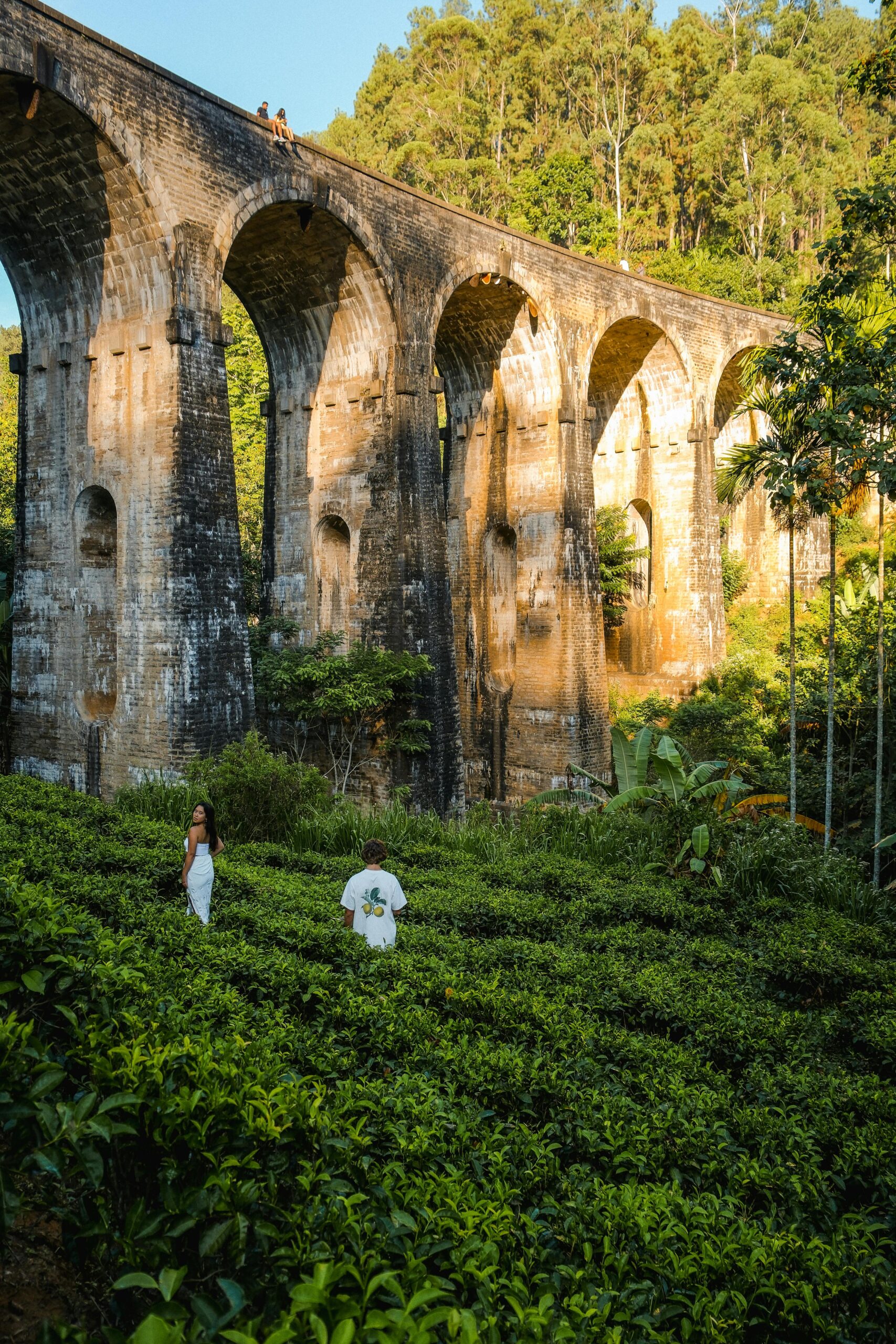 Scenic view of the Nine Arches Bridge in Ella, Sri Lanka with lush greenery.
